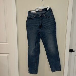 Everlane The Curvy Cheeky Jean